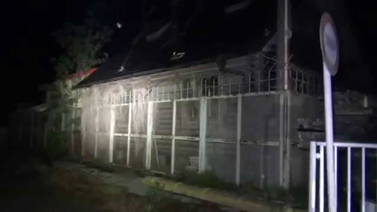 熊谷 埼玉愛犬家連続殺人事件の真相 関根元の元嫁 風間博子は冤罪で死刑執行は無理 Dv 離婚 遺体解体と社会に衝撃を与えた事件のその後現在 顔写真画像あり 日々の実話