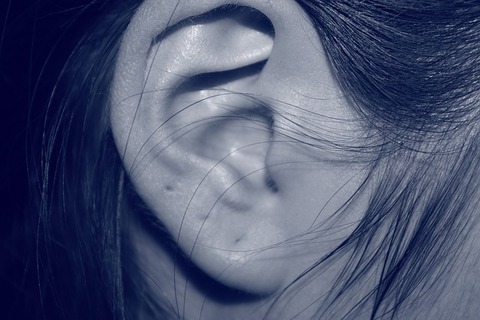 ear-207405_640
