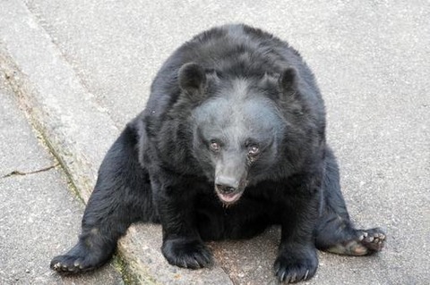 2b1e0e3537b61548a0b2ccb80e428401