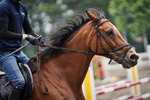 8b6c133fb708b11219a238ea9c4051c9