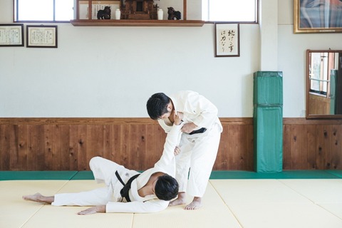 JUDO458A8799_TP_V