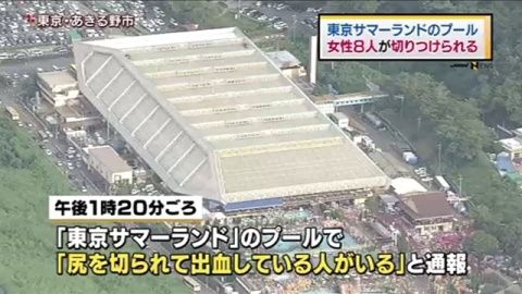 news2850341_41