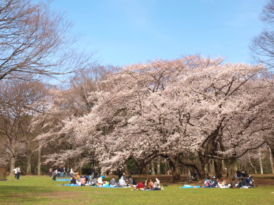 1004016