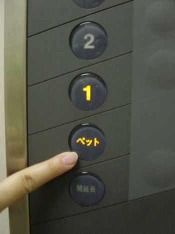 ペットボタン