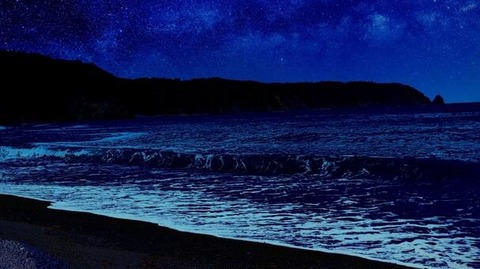 2dafa25425767e14deeaf04c4b4e48de