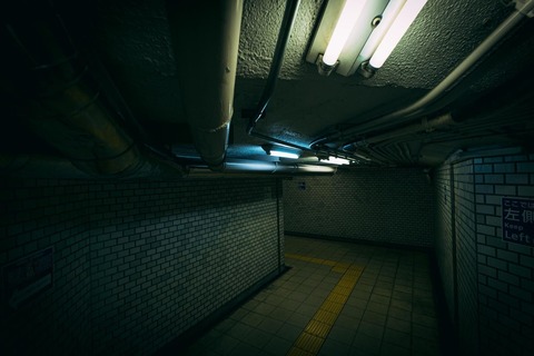 pakusIMG_0005_TP_V