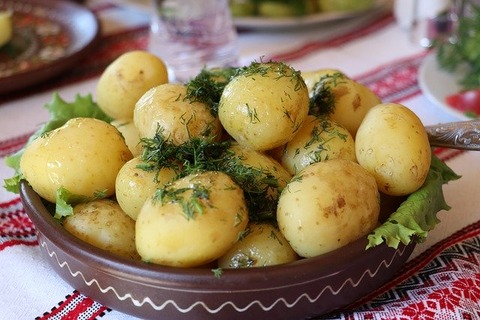 ukraine-2652561_640
