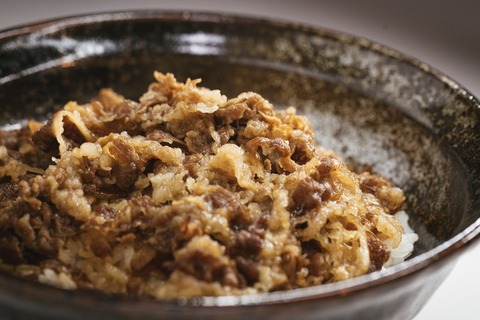 gyudon458A7153_TP_V