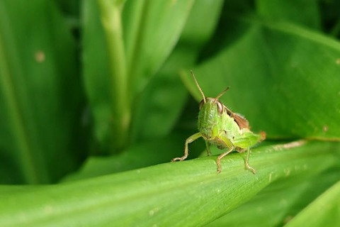 33418425-F7EC-4E61-BFFD-D594C3057C6A