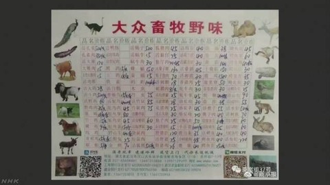 8p8QMYk