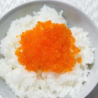 73a580c5bb9f84e4cd92b3323afd59fe