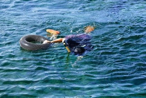 d12207c9868113aaea62a6df729b33a2