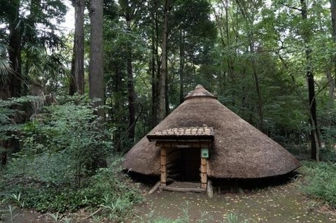 42c718848e8a3da973928f393b50cc06