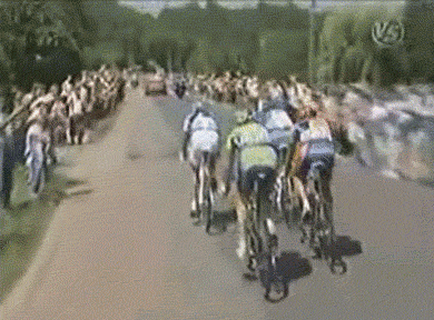 衝撃 ニューイヤー駅伝16で犬がランナーを転倒させる放送事故ｗｗｗ 結果 動画 画像あり 全日本実業団対抗駅伝競走大会 Newsまとめもりー 2chまとめブログ