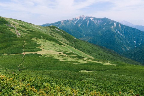 【超衝撃】茨城県で『異変』が起こってる模様・・・・