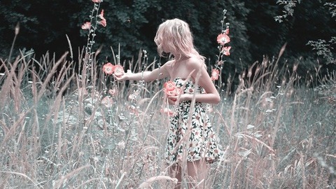 girl-collects-flowers-1725176_640