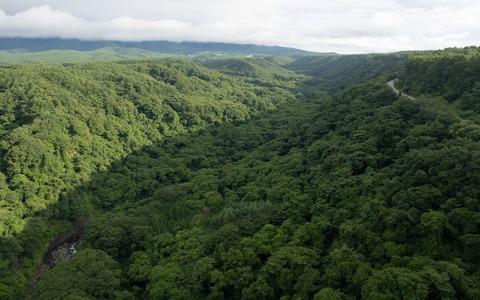 pk21826DJI_00071847_TP_V