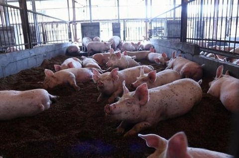 e1c019791425dc217ca9d80077760581