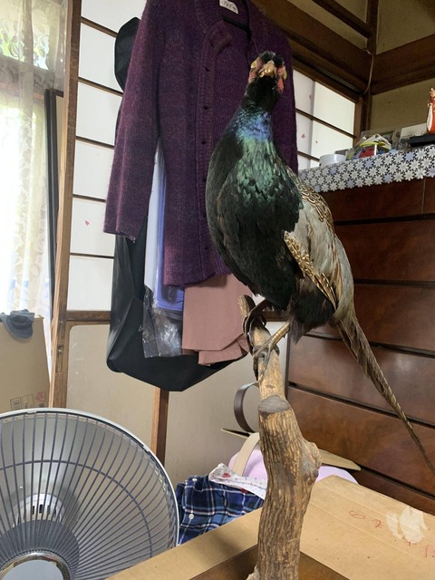 no title