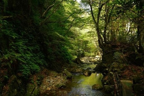 a8391343a8a78e116d5780df2e0e5742