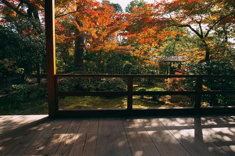 zubottyDSC07501-252_TP_V