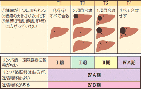 liver_stage