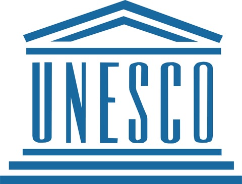 p_WDA-LOGO-UNESCO-2008