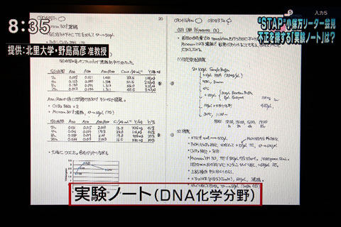 小保方晴子 過去の実験ノート公開 その画像を見た2ch驚愕ｗｗｗ 理化学研究所にstap細胞論文を捏造 不正認定され資料を提出ｗｗｗ 動画あり Newsまとめもりー 2chまとめブログ