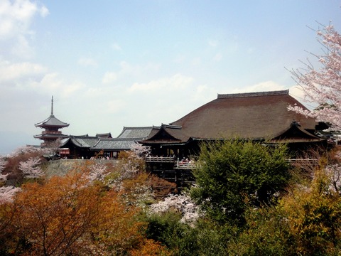 src_10449392