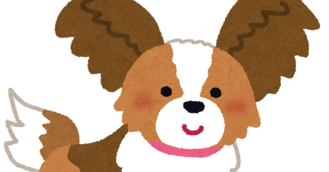 dog_papillon