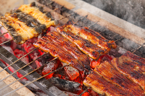 header_unagi