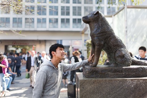 shibuya_hachikou201409211318064c