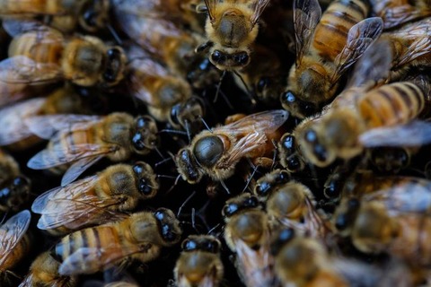 017Kazukiya17103_TP_V4