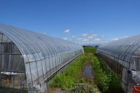 62d02084c69679c05022b2906b8222f6