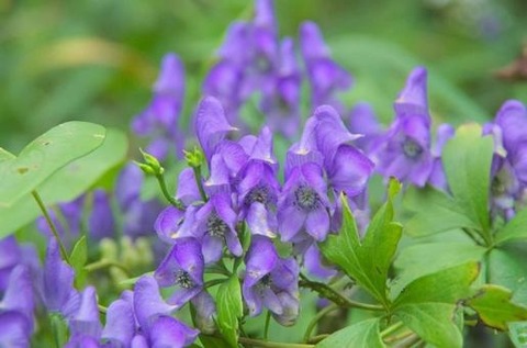 3d6aa64075b555b76cd4433118f26f89