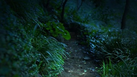 11c5df217cb72be1fa10002b01e5762b