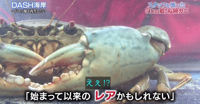 衝撃 鉄腕dashのtokioマジですげえwww凄すぎるwwwww 画像あり Newsまとめもりー 2chまとめブログ 衝撃 鉄腕dashのtokioマジですげえwww凄すぎるwwwww 画像あり Newsまとめもりー 2chまとめブログ