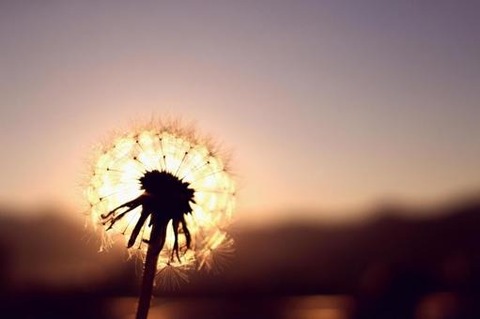 ce95401bb314149147096289d9bfed49