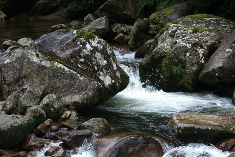 ZUDSC_9659_TP_V