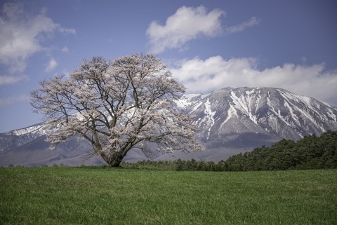 1d99b44f4eb01a9a14a776ecd515ea7e_t