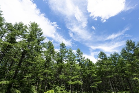 pk21826PAR512551872_TP_V