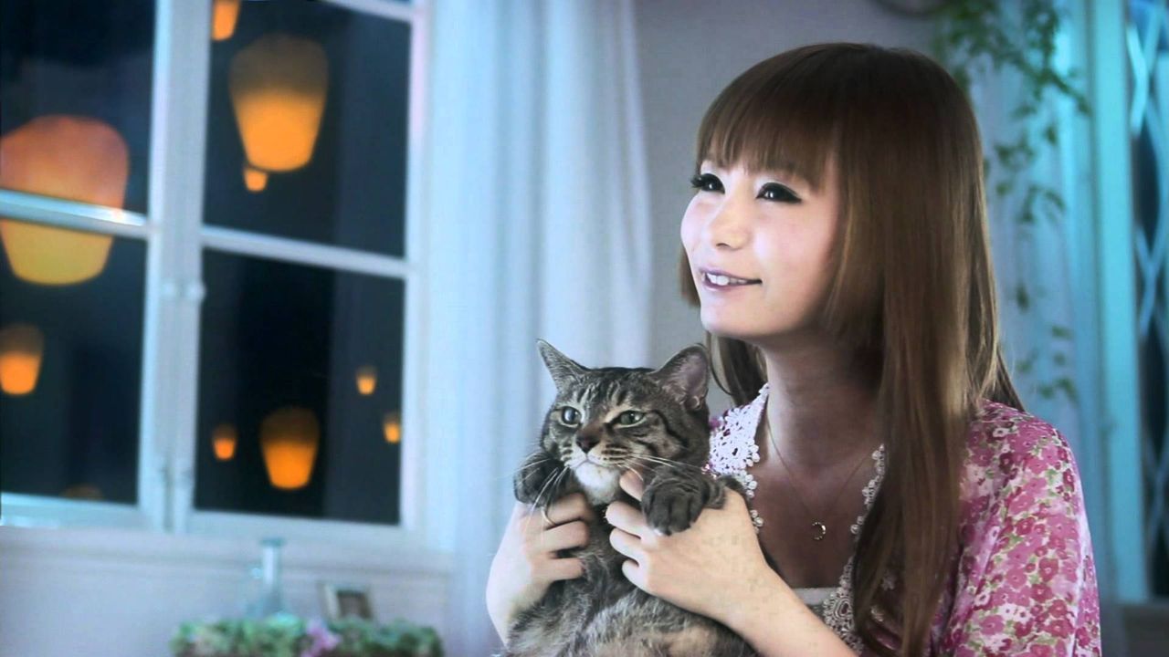 盗用 中川翔子 しょこたん がパクリ疑惑で炎上ｗｗブランド Mmts マミタス グッズのイラストと世界サメ図鑑の写真が似すぎと話題ｗｗｗ 画像あり Newsまとめもりー 2chまとめブログ