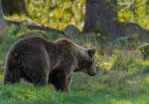 4e0c8a90417ccce6c73e17cc721028c6