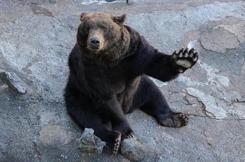 12bdc4dd93f07d3e7445338ac1ca174e