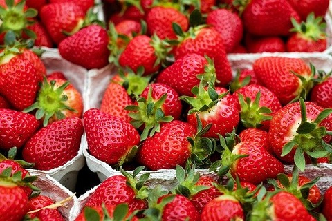 strawberries-1396330_640