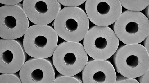 toilet-paper-4958068_640