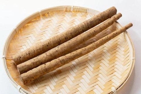 521bc755a6f99467ea6c820bf3f22b58