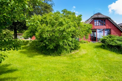 35a353466648ce3611a8d840223fd72f_t