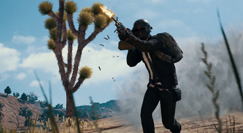 gelowsmsolb0ukc81bgc