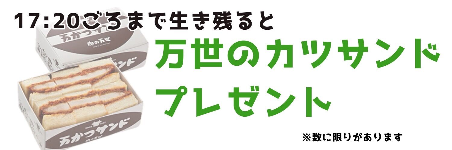カジノクエスト